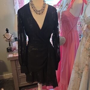 Gorgeous Sachin & Babi Black Sheer Long Sleeve Dress